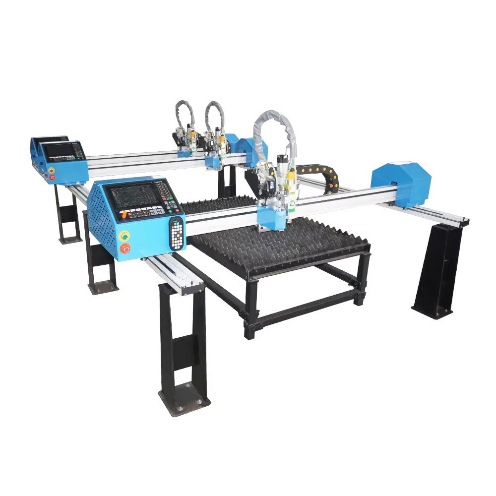 Industrial Portable Gantry CNC - Industrial Laser Metal Cutting Machine 评论和价格